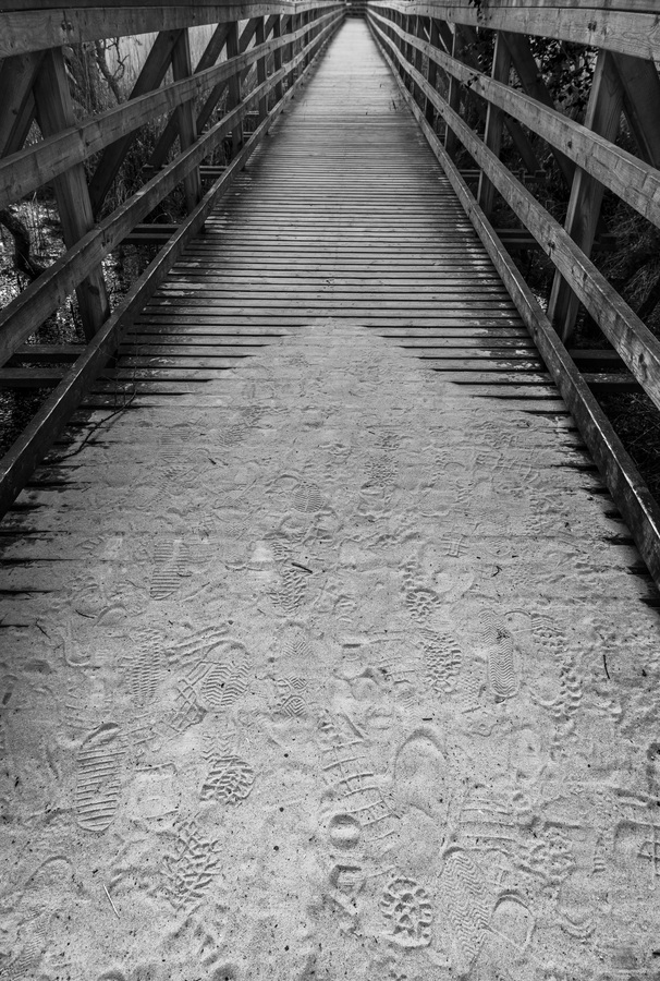 2nd path from the beach by Angus Reid 